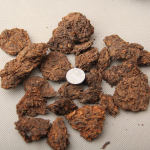 2023 Pu'er vana teepea, naturaalne Tuo Superkvaliteediga Jinya Menghai pea, keedetud, 250g