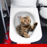 Creative Realistic Cute Cat Vision 3D WC kleebis L&otilde;bus Loomade Vannitoa WC kaane Decor Isekleepuv PVC Veekindel maal