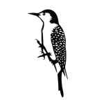 &Otilde;uekunstipuu lind loomakunst Aia metallipuu roostevabast terasest kunst metallist lind, r&auml;hn, aia loominguline kaunistus, aed