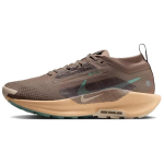 Nike React Pegasus Trail 5 Gore Tex Mink Brown Orange Chalk Pearl White Cannon Naiste tossud FQ0912-200 42