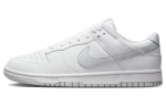Nike Dunk Low Retro Valge Puhta Plaatina DV0831-101 43