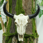Vaikne 3D Loomade Eluslooduse Sarvedega Skulptuur Longhorn Lehma Kolju Pea Seinakujundus China Mainland