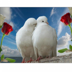 Teemanttikandid akr&uuml;&uuml;l maastikukujuline tuvi seinakleebis t&auml;ispuur Magamistoa sisekujundus otse tehases 20X30CM