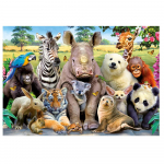 DIY Teemantmaali Loomade Grupp Panda Tiger Bird Full Dimaond Tikand 20X30CM