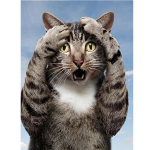 T&auml;ielik 5D-teemantmaaling multifilm Loomakass Teemanttikandid Ristpistes Kodukaunistus K&auml;sitsi valmistatud kingitus 25x30cm