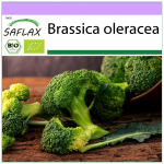 SAFLAX &ndash; Orgaaniline &ndash; Brokkoli &ndash; Calabrese &ndash; 100 seemet &ndash; Brassica oleracea
