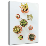 Feeby l&otilde;uenditr&uuml;kk, Taimed pottides 40x60 roheline