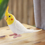 Papagoi miniatuurne skulptuur kodukaunistuseks ja kingitusteks valge