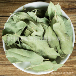 Apocynum Venetum Leaf Hiina taimetee tervisetee 250g