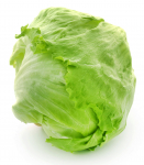 150 Graines de Laitue Iceberg