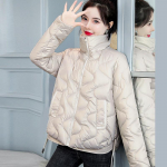 L&uuml;hike sule puuvillane Jjacket Naiste talvekraega paksendatud jope XXXL &scaron;ampanjav&auml;rvi