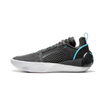 Li Ning All City 12 Encore Korvpallijalatsid Meeste toss Dark-Gray ABAU051-1 41⅔
