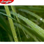 Teemantmaaling T&auml;ispuur &uuml;mmargune puu Teemanttikandite m&uuml;&uuml;k Lavastused Teemantmosaiik Scenic Rhinestones Pildid 20X30CM