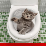 Creative Realistic Cute Cat Vision 3D WC kleebis L&otilde;bus Loomade Vannitoa WC kaane Decor Isekleepuv PVC Veekindel maal