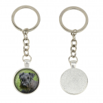 Cesky Terrier, Czech Terrier, Bohemian Terrier - keychain in a box, own photo, keychain pendant from Art-Dog brand