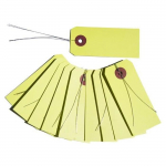 Etiquettes anis avec fil m&eacute;tallique x 10