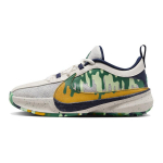Nike Zoom Freak 5 SE GS Summer Camp Pack - Hometown Hero Laste tossud Grey Wolf-Grey University-Gold FN4975-001 36