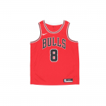 Nike NBA Chicago Bulls Zach Lavine Icon Edition Swingman S&auml;rk Chicago Punane/Must/Valge Meeste Streetwear CW3660-660 L