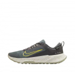 Nike Juniper Trail 2 GORE-TEX Meeste jooksujalatsid HM9734-200 Suurus EU 39 hall v&auml;rv