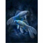 5D teemantmaaling k&auml;sit&ouml;&ouml; maalimine kalad kala isetegemine teemanttikandid rhinestones tikand teemant 20X30CM