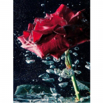 5D teemantmaal Lilleroosiga ristpistega teemanttikandid 20X30CM