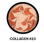 VT Cosmetics VT Berry Collagen Pact 11g (SPF50 + PA ++++) 2 v&auml;rvivalikut #No.23