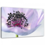 L&otilde;uenditr&uuml;kk Purple Flower Nature Macro 60x40 lilla
