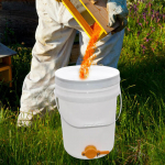 Mee&auml;mbri ekstraktori seadmed 5 galloni esmaklassiline villimine