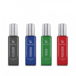 Ramsons - PREMIUM FOR MEN Gift Set Eau De Parfum | 20 ML x 4 variants | A Set of 4 Premium Perfumes | Closer EDP | Gift Set For Him
