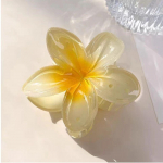 2/4/6 tk Mood naiste lillelised juuksek&uuml;&uuml;ned Hawaii gradientidega juukseklambrid puhkuse rannastiil 1PCS*(4cm)