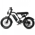 MAXTURN MX10 on 500W pika s&otilde;iduulatusega elektrijalgratas, 20-tollised rattad, maksimaalne s&otilde;iduulatus kuni 70 kilomeetrit. must