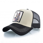 Unisex pesapallim&uuml;ts Naiste Snapback Hip Hop Truckeri m&uuml;tsid Meeste &uuml;hev&auml;rvilised puuvillased isam&uuml;tsid &Otilde;ues hingav v&otilde;rkvisiiril on luud 56-59cm