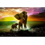 DIY Elephant 5D Teemantmaal T&auml;isringi puur Loom Tikand Ristpistes Komplektid Mosaiik Kodukaunistus Seinakunst Full Round 20x30CM