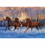 5D DIY teemantmaaling Happy Horse teemanttikandid ristpistes t&auml;ispistes kivimosaiigiga kodukaunistus Square 20x30cm