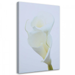 L&otilde;uenditr&uuml;kk Callas Flowers Nature White 40x60 beež