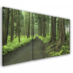 Kolmeosalise pildiga l&otilde;uenditr&uuml;kk Forest Street Trees Nature 60x40 roheline