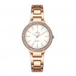 WWOOR Diamonds Full Star naiste k&auml;ekell Quartz Movement Kerge luksuslik veekindel moodne terasrihmaga naiste k&auml;ekell