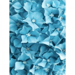 Teemantmaal T&auml;ispuur Valge Hundi Lill Loom Teemantmaal K&auml;sitsi valmistatud Kunst Maastik Teemantmosaiikmaal Kodukaunistus Full Round 25X37.5CM