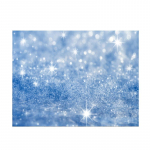 Glitter Party Photography Taust Kangas Vin&uuml;&uuml;lstuudio Fototaust A-L