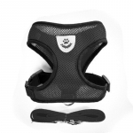 Kassi koera reguleeritav rakmete vest jalutusrihm kutsikate jaoks kaelarihm lemmikloomatarbed sinine