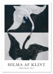 Plakat hilma af klint łabędź czarny biały 30x40 cm