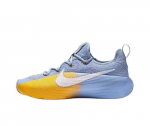 Nike LeBron TR 1 James Meeste Korvpallijalatsid FJ6151-401 EU 44.5 sinine