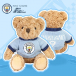 Ametlik Manchester City kaisukaru m&auml;ngijam&auml;rk