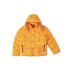 THE NORTH FACE Sierra Rmst Kapuutsiga Parka Meeste NF0A832R-56P M orange