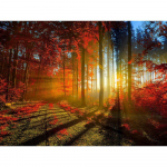 T&auml;ielik &uuml;mmargune isetegemise teemanttikandid Red Forest 5D teemantmaaling rhinestone mosaiik kodukaunistus 20X30CM