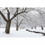 DIY 5D teemantmaal neli aastaaega maastik puu ristl&otilde;ikega t&auml;isring puur Teemanttikandid maalid kodukaunistus Full Round 15x20CM