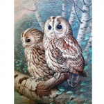 DIY teemantmaal T&auml;ielik teemant loom &ouml;&ouml;kull teemanttikandid ristpistes kodukaunistuse seinakunsti kingitus Full Round 20x30CM