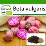 SAFLAX &ndash; Mahe &ndash; Punapeet &ndash; Chioggia &ndash; 70 seemet &ndash; Potisubstraadiga paremaks kasvatamiseks &ndash; Beta vulgaris