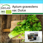 SAFLAX - Kinkekomplekt - Orgaaniline - Pascali seller - 500 seemet - Koos kinkekarbi, kaardi, etiketi ja potisubstraadiga - Apium graveolens