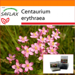 SAFLAX - Aed kotis - Harilik Centaury - 250 seemet - Substraadiga sobivas p&uuml;stises kotis - Centaurium erythraea